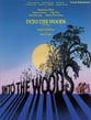 Into the Woods piano sheet music cover